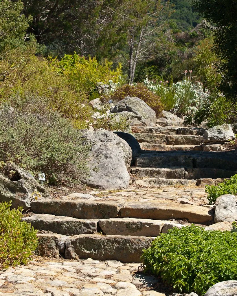 A flight of rough stone steps climbing through a planted garden bed towards trees on a hillside